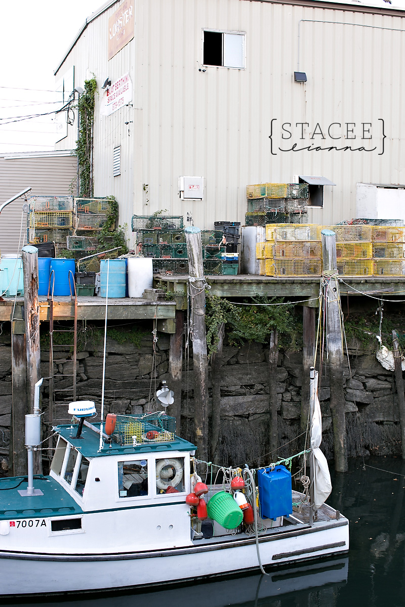 Portland Maine Photographer 001