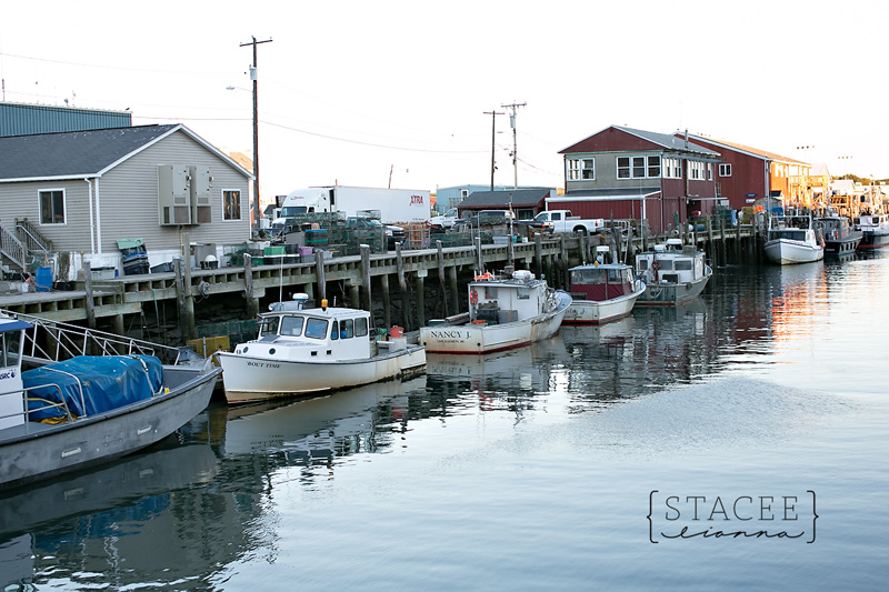 Portland Maine Photographer 003