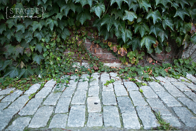 Portland Maine Photographer 007