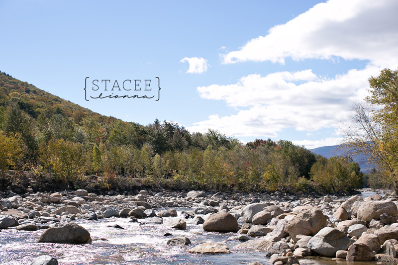 White Mountains Photographer 002