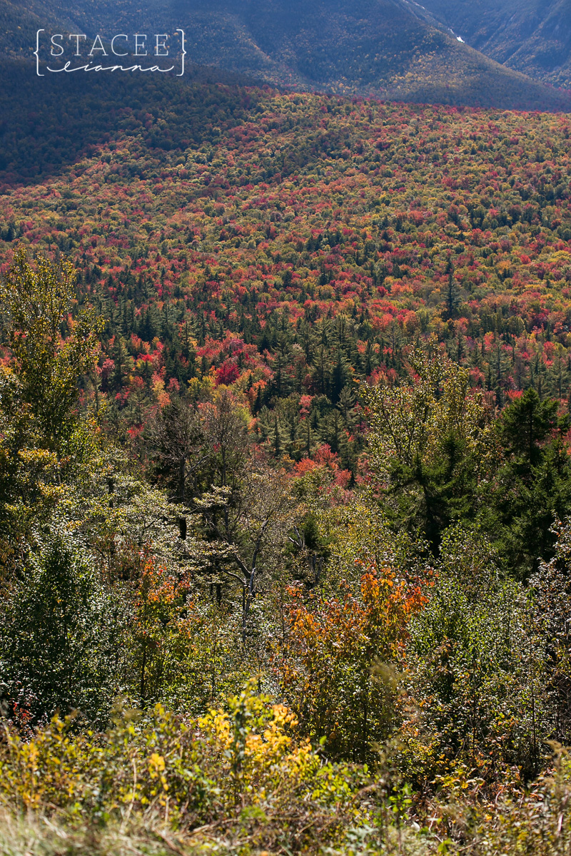 White Mountains Photographer 008