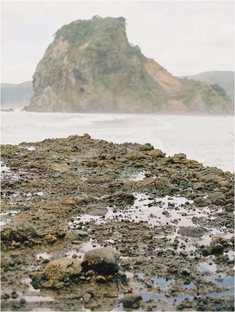 New Zealand Film Photography Piha Beach Stacee Lianna Photography