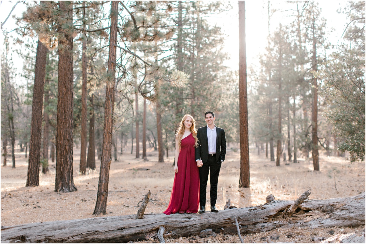 Angelus Oaks Forest Engagement Photography 001 - Stacee Lianna ...